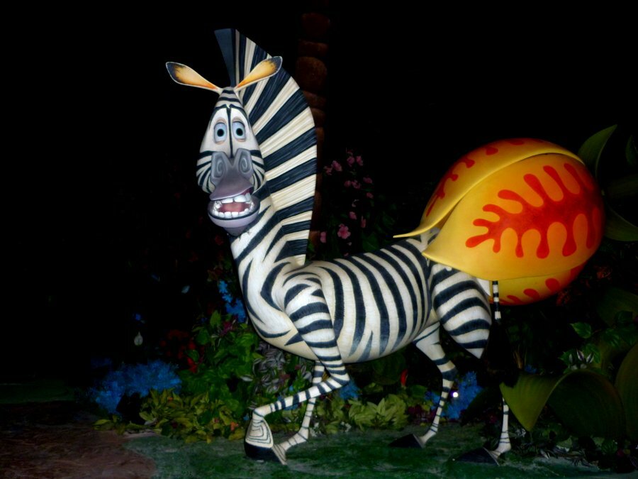 Зебра в Мадагаскаре